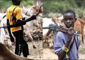 AK-47-wielding herdsmen