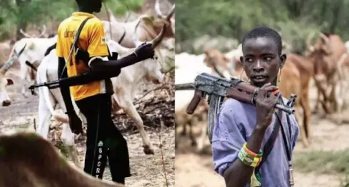 AK-47-wielding herdsmen