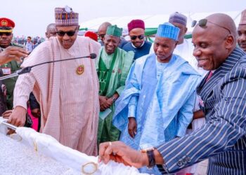 Katsina: Reaping Where It Did Not Sow   