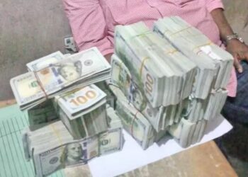 Chinyere Igwe with $498,100 in Cash