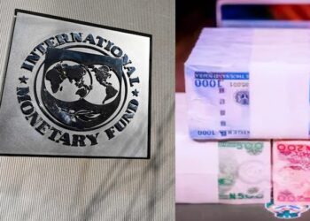 IMF Ask CBN to February 10 Deadline For Old Naira Notes
