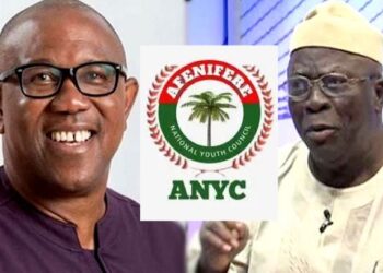 Afenifere National Youth Council Pledges to garner 5 million Votes for Peter Obi
