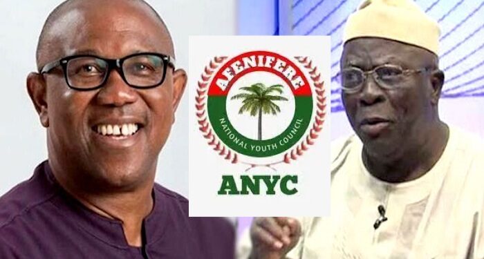 Afenifere National Youth Council Pledges to garner 5 million Votes for Peter Obi