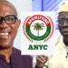 Afenifere National Youth Council Pledges to garner 5 million Votes for Peter Obi