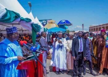 How Supporters of Senate President Ahmad Lawan Stoned Governor, Mai Buni