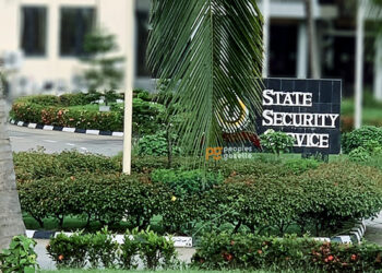 We Have Unearthed and Confirmed a Scheme for an Interim Government -DSS