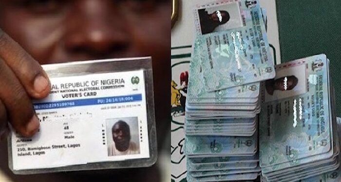 How Two Nigerians Gained the Right to Vote with Their Temporary Voter Cards