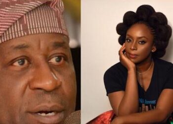 Nigeria’s Hollow Democracy – Tinubu’s SA, Dele Alake Refutes Chimamanda Adichie’s Claim