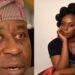 Nigeria’s Hollow Democracy – Tinubu’s SA, Dele Alake Refutes Chimamanda Adichie’s Claim