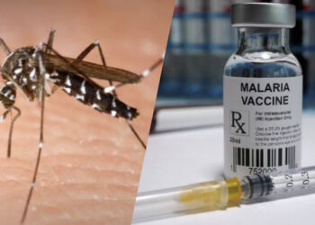 Malaria Vaccine gets Approval in Ghana