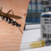 Malaria Vaccine gets Approval in Ghana