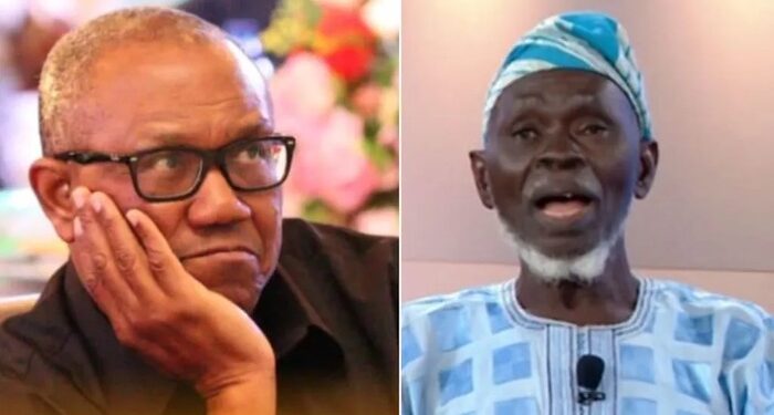 How Lamidi Apapa Appealed to the Tribunals to withdraw all Cases filed by LP and Peter Obi