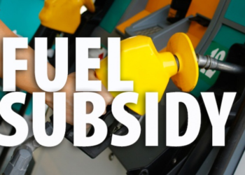 How FG Secured $800 million World Bank Credit for Subsidy Removal Palliative for Tinubu’s Presidency