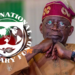 IMF and Tinubu