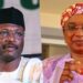 Why Binani is Suing INEC