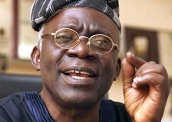 Why Femi Falana Accused National Assembly of N110 billion Allocation without Proper RMAFC Approval