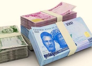 How CBN Spent N74 billion on the Overhauling and Introduction of the New Naira Notes