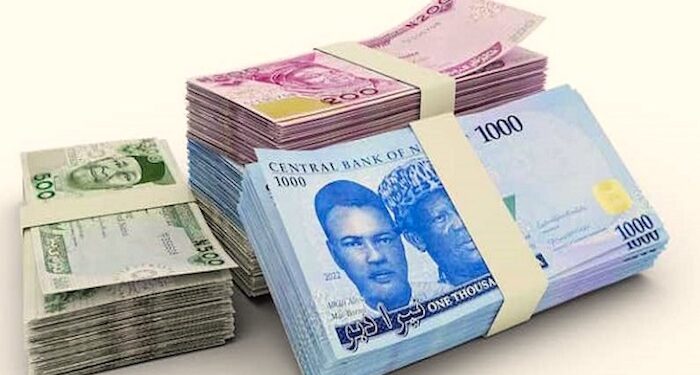 How CBN Spent N74 billion on the Overhauling and Introduction of the New Naira Notes