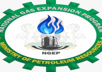 Why FG is Probing N130.8 billion NGEP Intervention Fund