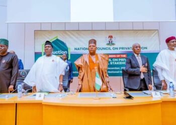 National Council on Privatization Expedites Restructuring and Revitalization  of BOA