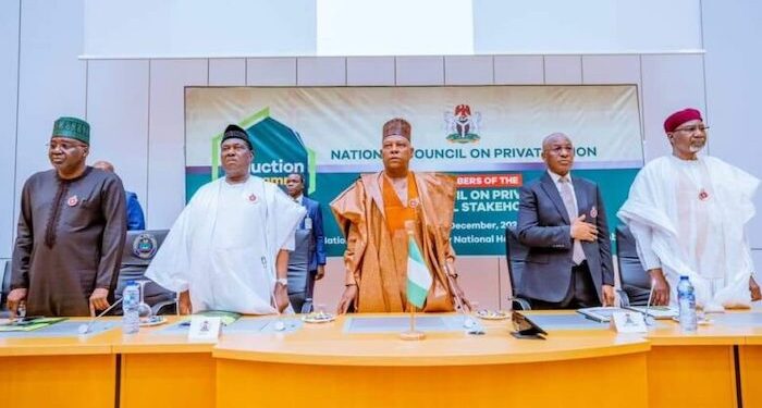 National Council on Privatization Expedites Restructuring and Revitalization of BOA