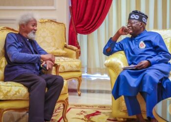 Wole Soyinka Gives One-Year Grace Period Before Criticizing President Tinubu