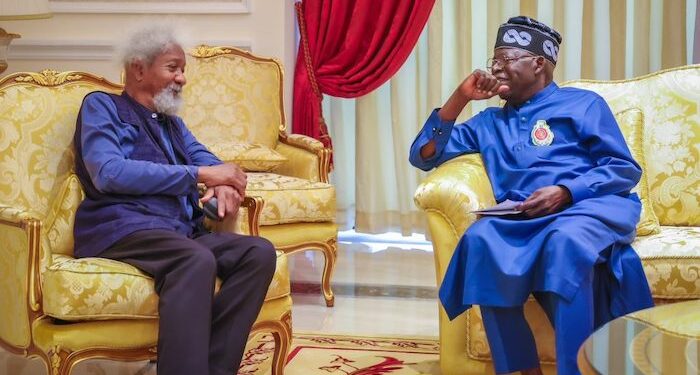 Wole Soyinka Gives One-Year Grace Period Before Criticizing President Tinubu