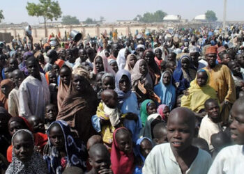 Food Crises Looms in Nigeria’s North-west and North-east Regions -World Bank