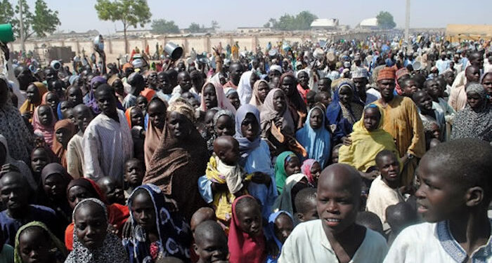 Food Crises Looms in Nigeria’s North-west and North-east Regions -World Bank