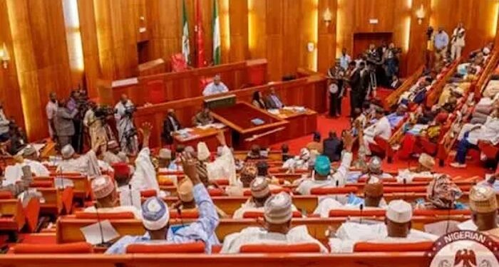 As Economic Woes Spreads, Nigerian Senate Urges Food Stamps Implementation to Combat Hunger