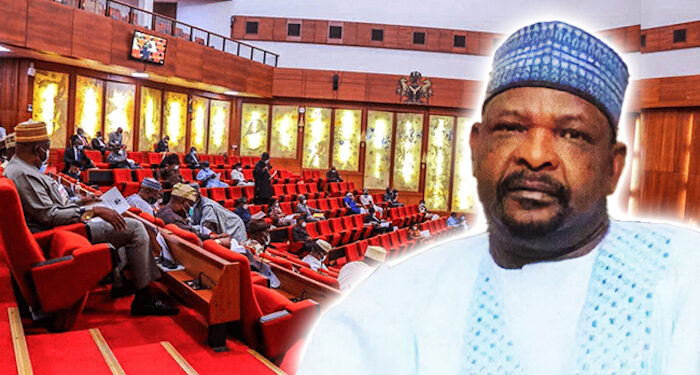 Concerns Mount Over Senator Abdul Ningi’s Suspension by Senate