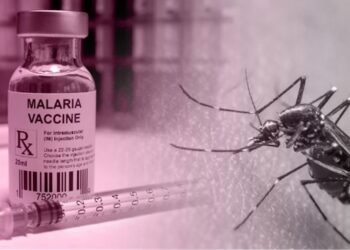 Federal Government Announces Rollout of Malaria Vaccine in Kebbi and Bayelsa States