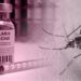 Federal Government Announces Rollout of Malaria Vaccine in Kebbi and Bayelsa States