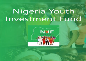 FEC Approves Restructuring of Nigerian Youth Investment Fund