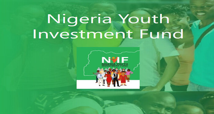 FEC Approves Restructuring of Nigerian Youth Investment Fund
