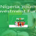 FEC Approves Restructuring of Nigerian Youth Investment Fund