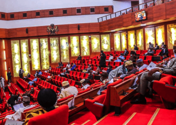 Northern Senators Express Concerns Over Governance Under President Tinubu