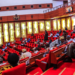 Northern Senators Express Concerns Over Governance Under President Tinubu