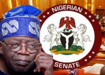 Tinubu Holds Closed-Door Meeting with Senate Leaders Amid Budget Padding Allegations