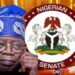 Tinubu Holds Closed-Door Meeting with Senate Leaders Amid Budget Padding Allegations