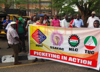 National Union of Electricity Employees Raises Safety Concerns Amidst Electricity Tariff Hike