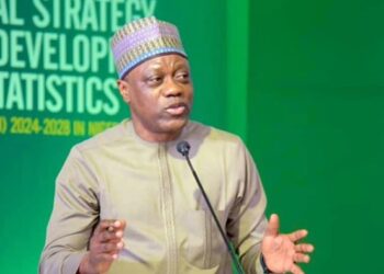 Why NBS is Commencing GDP and CPI Rebasing Process Amidst Economic Shifts