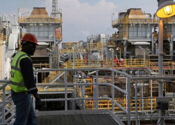 Why Coalition of Civil Society Organisations is Supporting Halt on Oil and Gas Divestment in Niger Delta