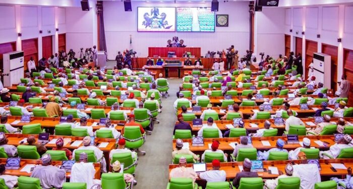 What The N6.2 Trillion 2024 Budget Amendment Bill Passed By National Assembly is meant for
