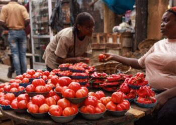 How Nigeria Fiscal Measures Aims to Address Food Crisis and Inflation