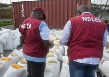 How NDLEA Intercepted Massive Codeine Shipment, Arrests Multiple Suspects in Anti-Drug Operations