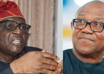 Why Peter Obi is Suing Bayo Onanuga