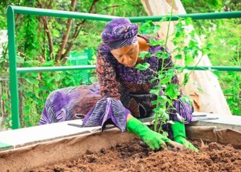 Food Security: For First-Lady Remi Tinubu It is ‘Every Home A Garden.’