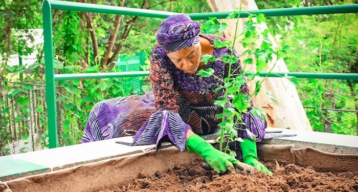 Food Security: For First-Lady Remi Tinubu It is ‘Every Home A Garden.’