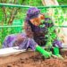 Food Security: For First-Lady Remi Tinubu It is ‘Every Home A Garden.’